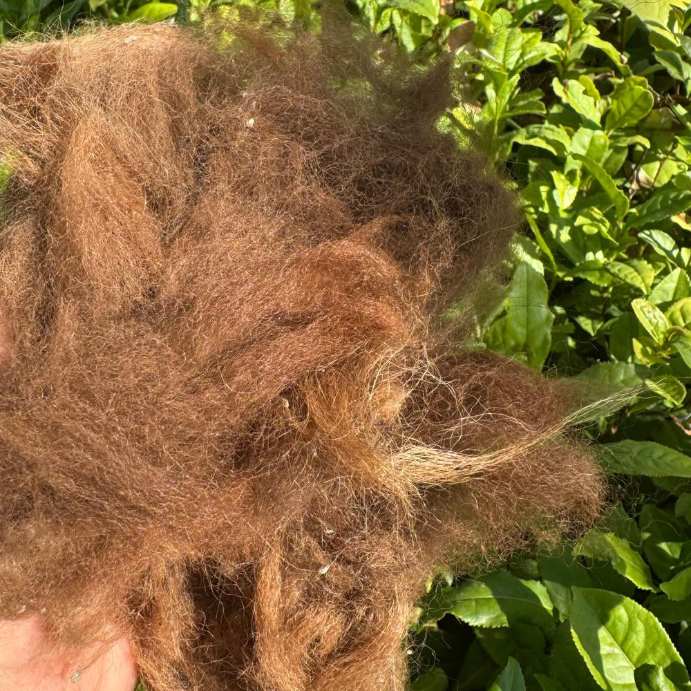 Alpakawolle als Langzeitdünger für Teepflanzen – Bio-Dünger aus Deutschland