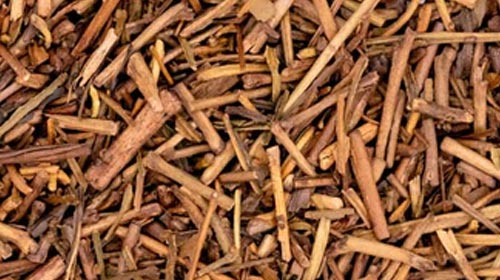 Hojicha
