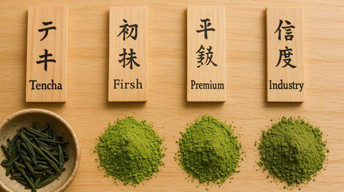 Matcha-Qualitätsstufen erklärt: Von Tencha & First Flush bis Industry Grade