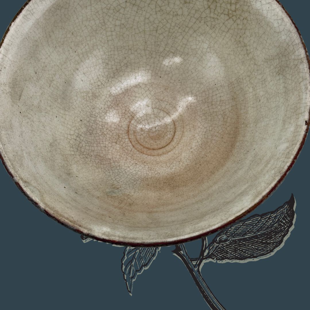 Japanische Kohiki Matcha-Schale – Asahi-gata Chawan aus Mino