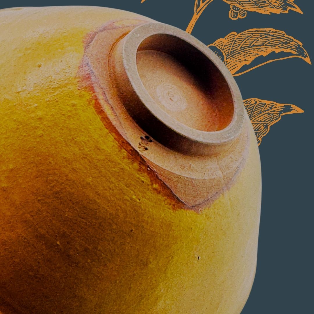 Hira-Gata - eine Schale, die wie Morgensonne atmet 黄金の静けさ