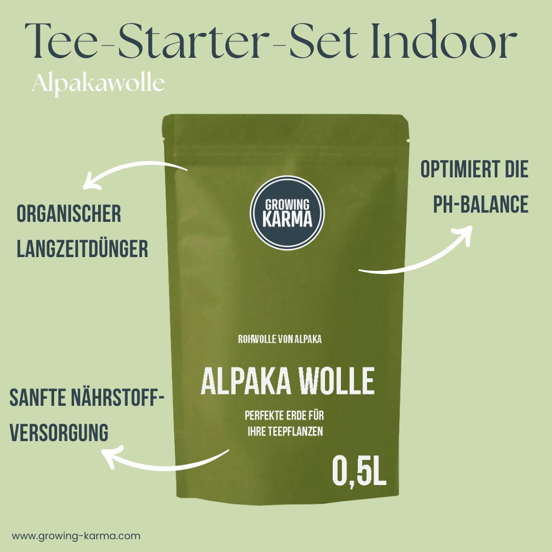 Tee Starter Set Indoor Alpakawolle