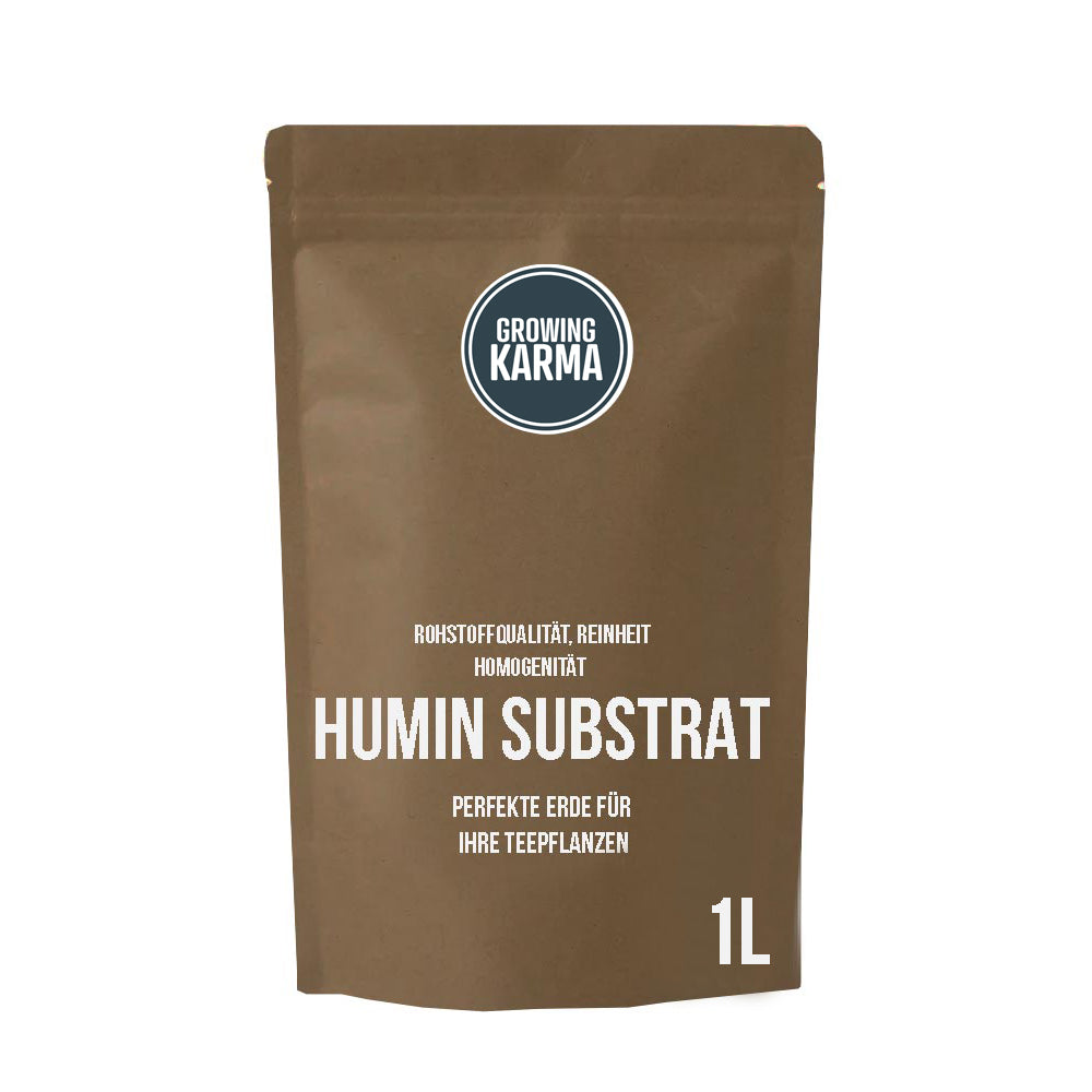 Humin Substrat für Teepflanze in Deutschland