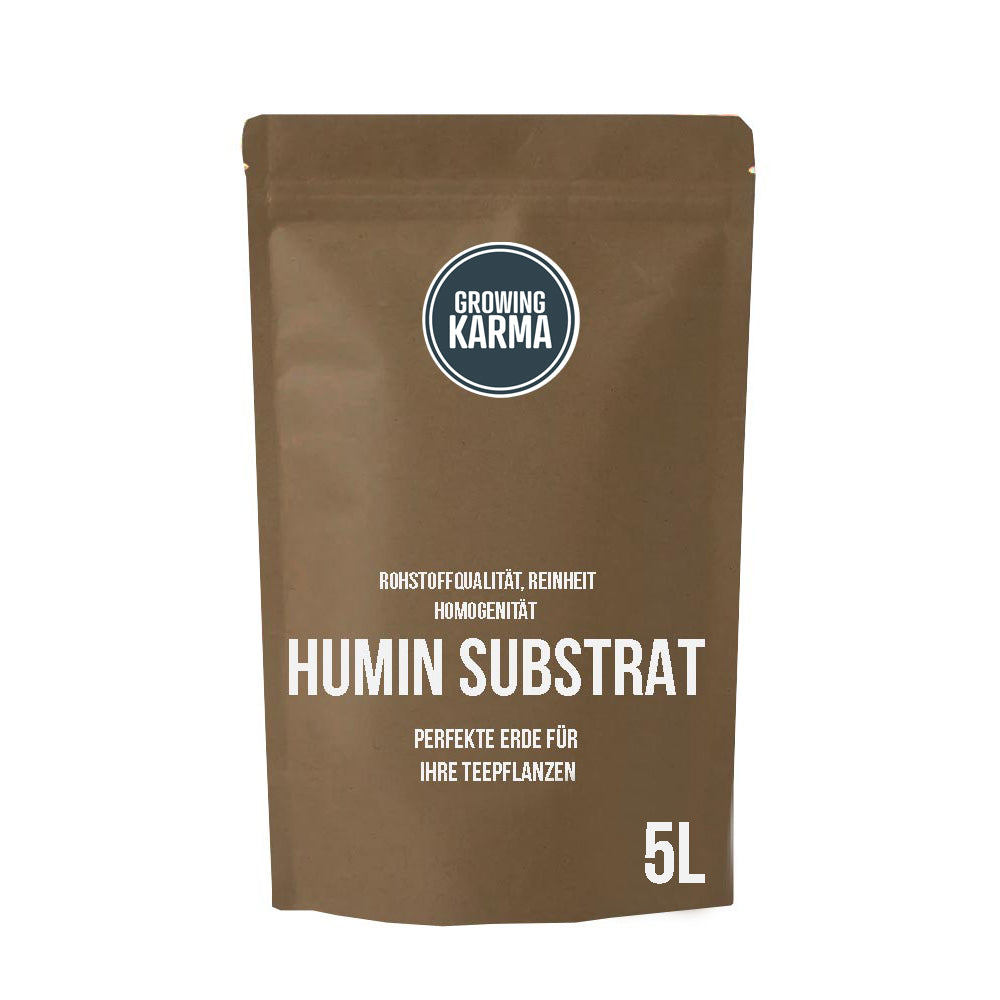 Humin Substrat für Teepflanzen