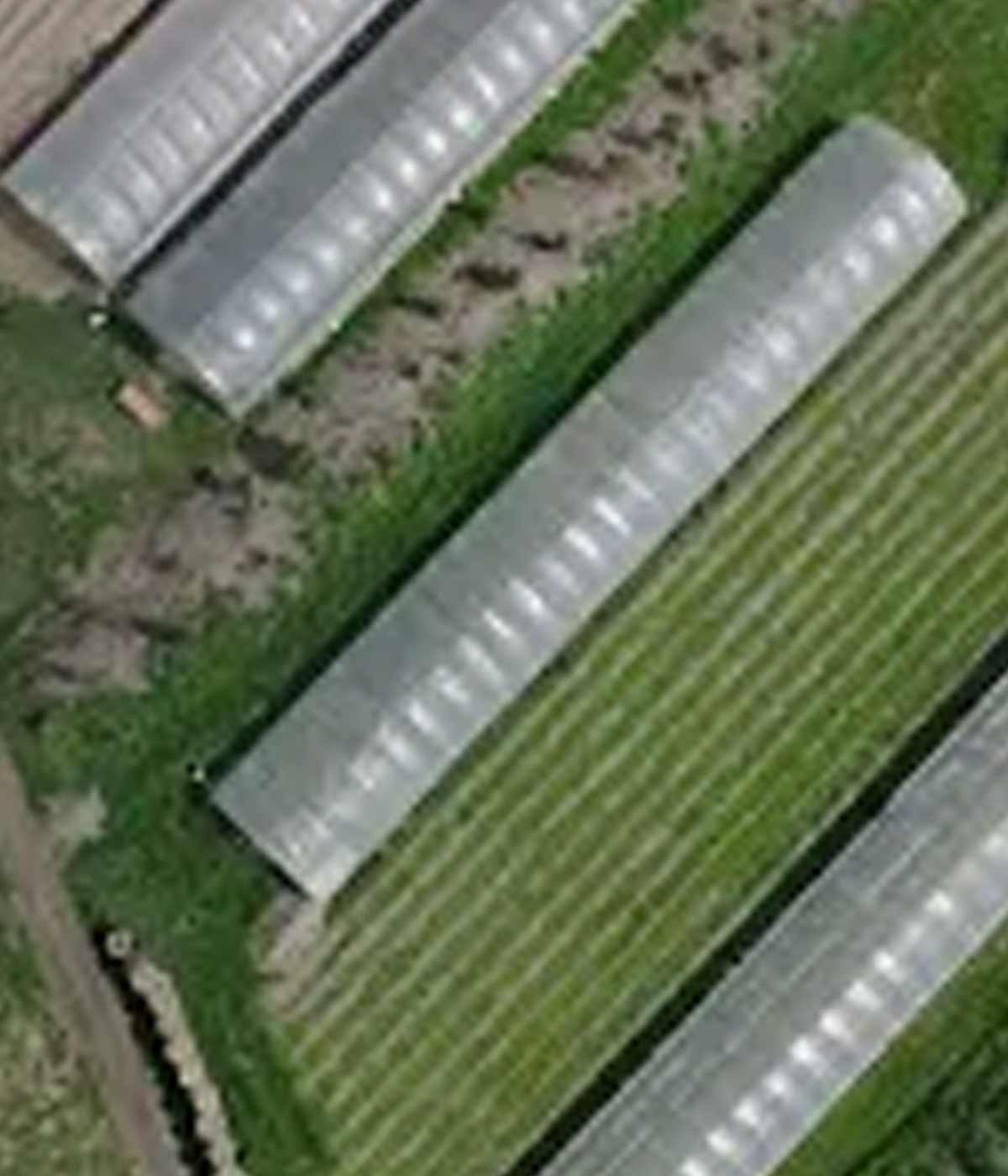 Tag der offenen Teefarm
