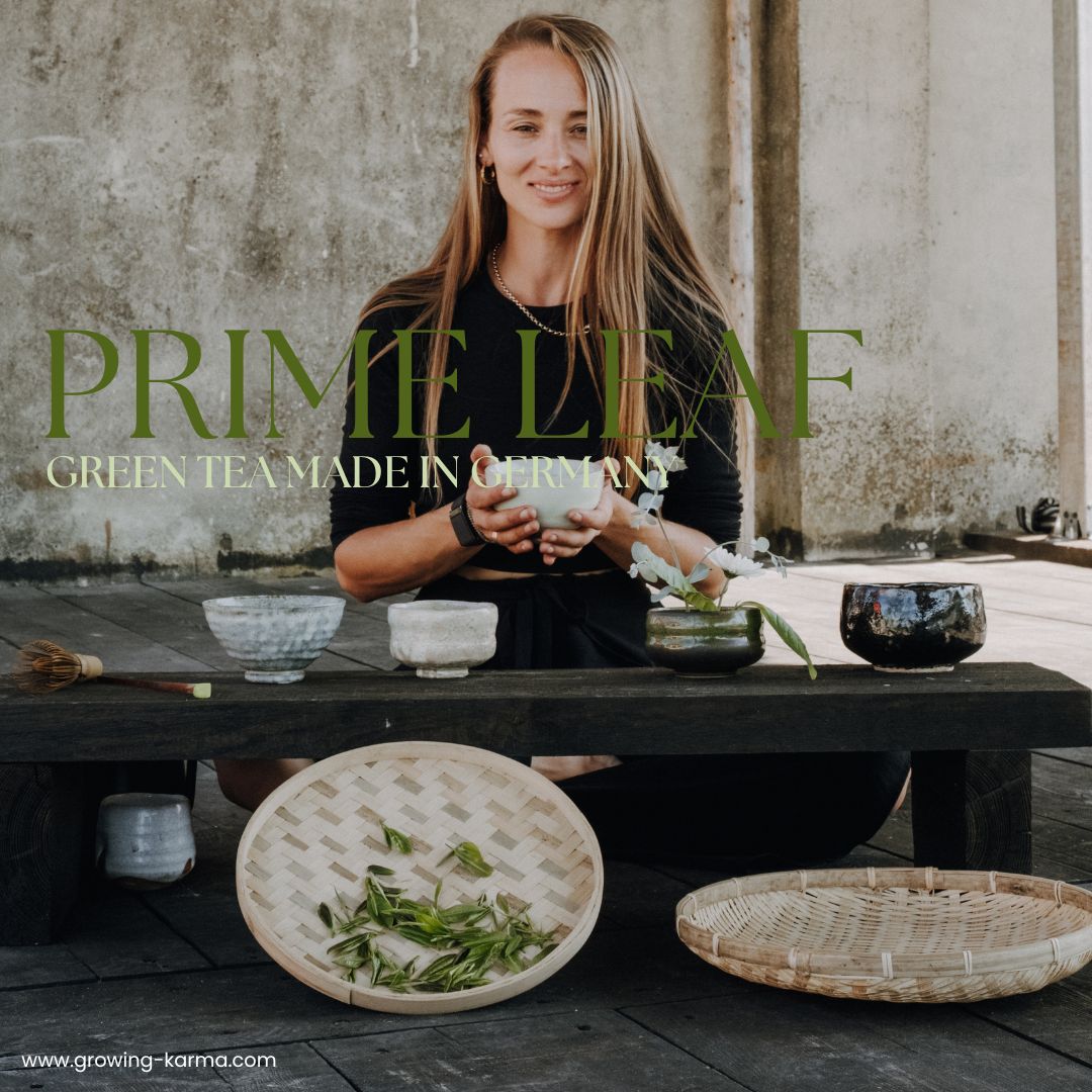 Growing Karma Prime Leaf Green Tea