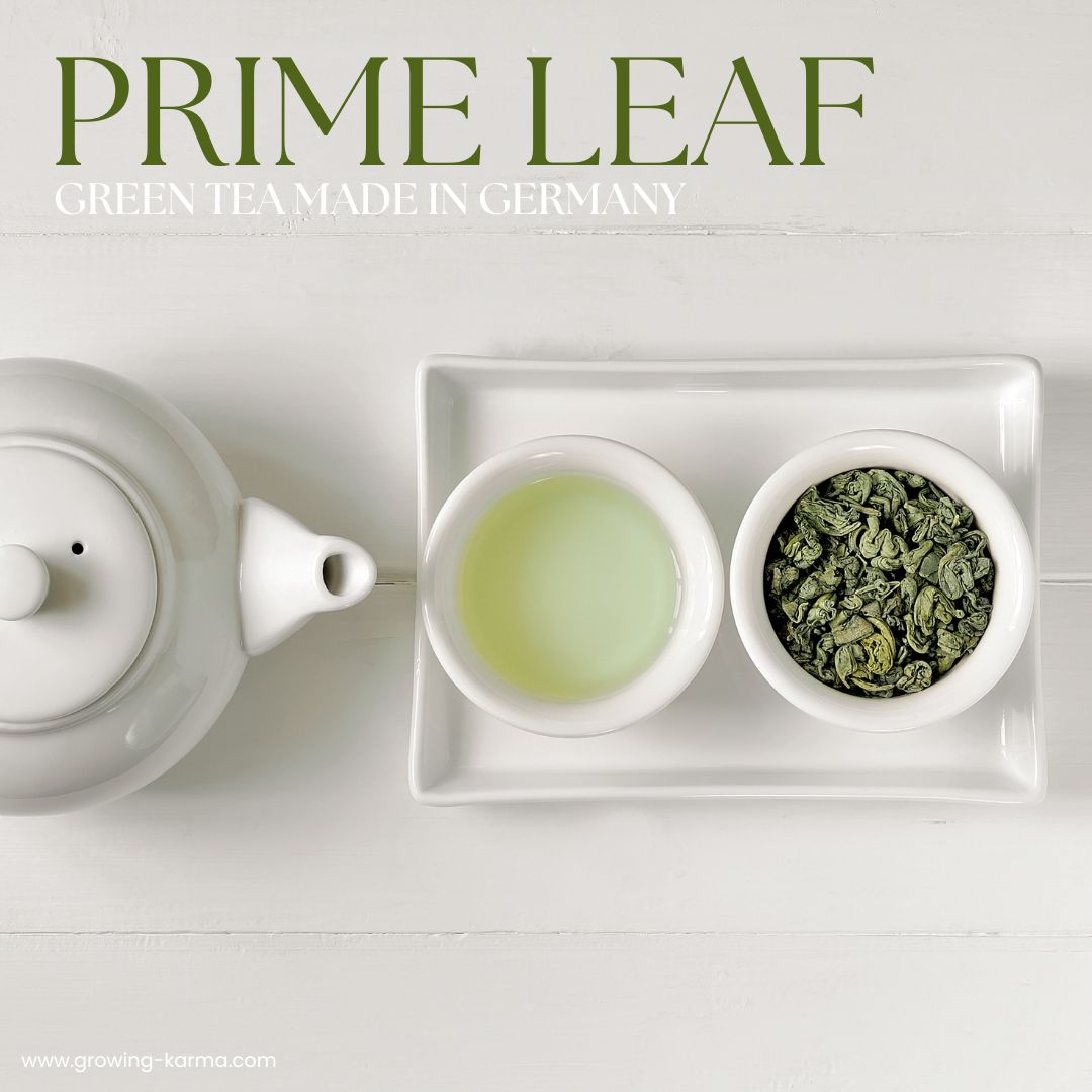 Growing Karma Prime Leaf Green Tea