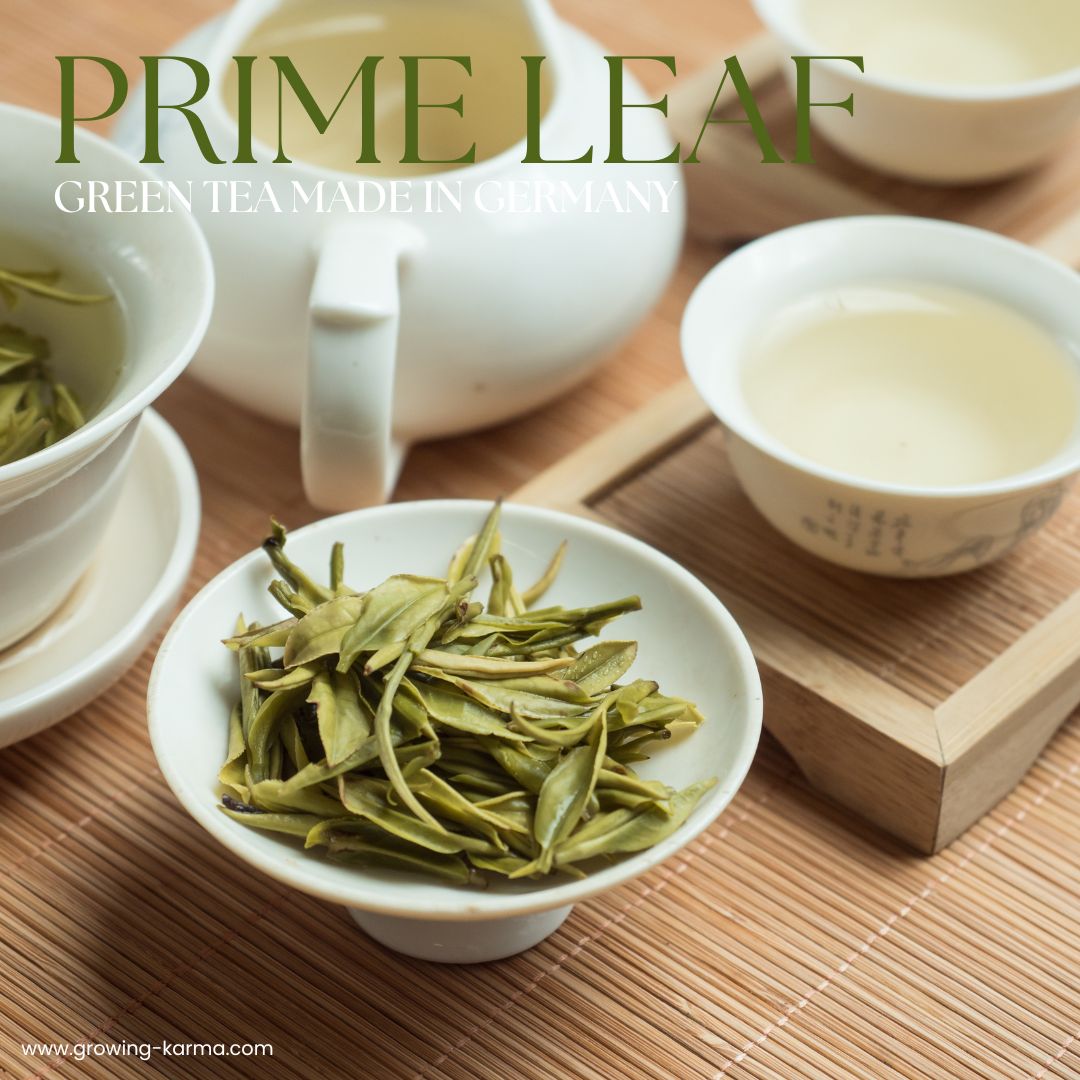 Growing Karma Prime Leaf Green Tea