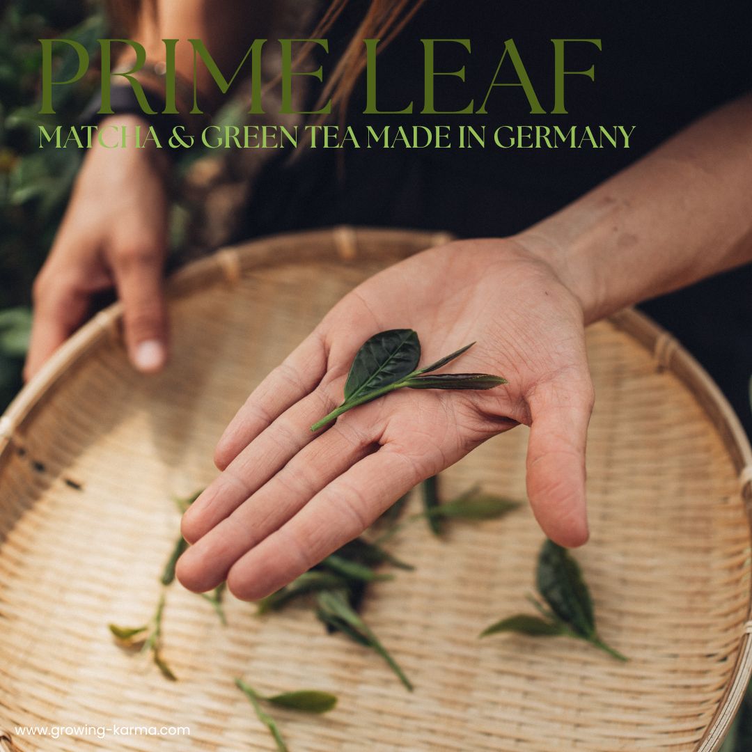 Prime Leaf Matcha & Green Tea Tasting Set 2 x 15g