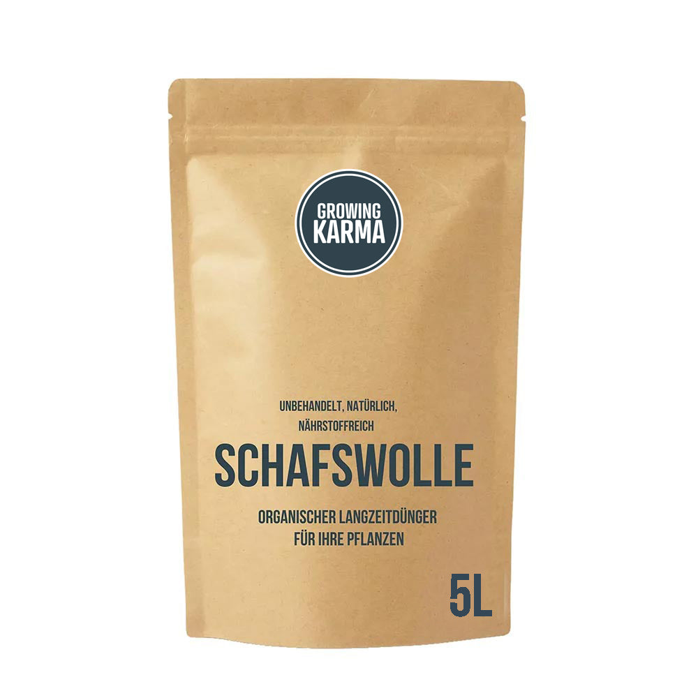 Schafswolle als Dünger für Camellia sinensis