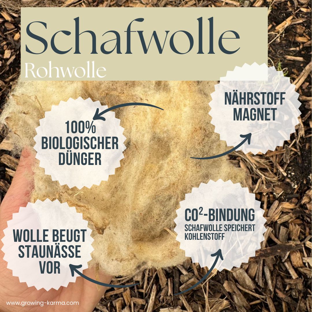 Schafwolle-Duenger