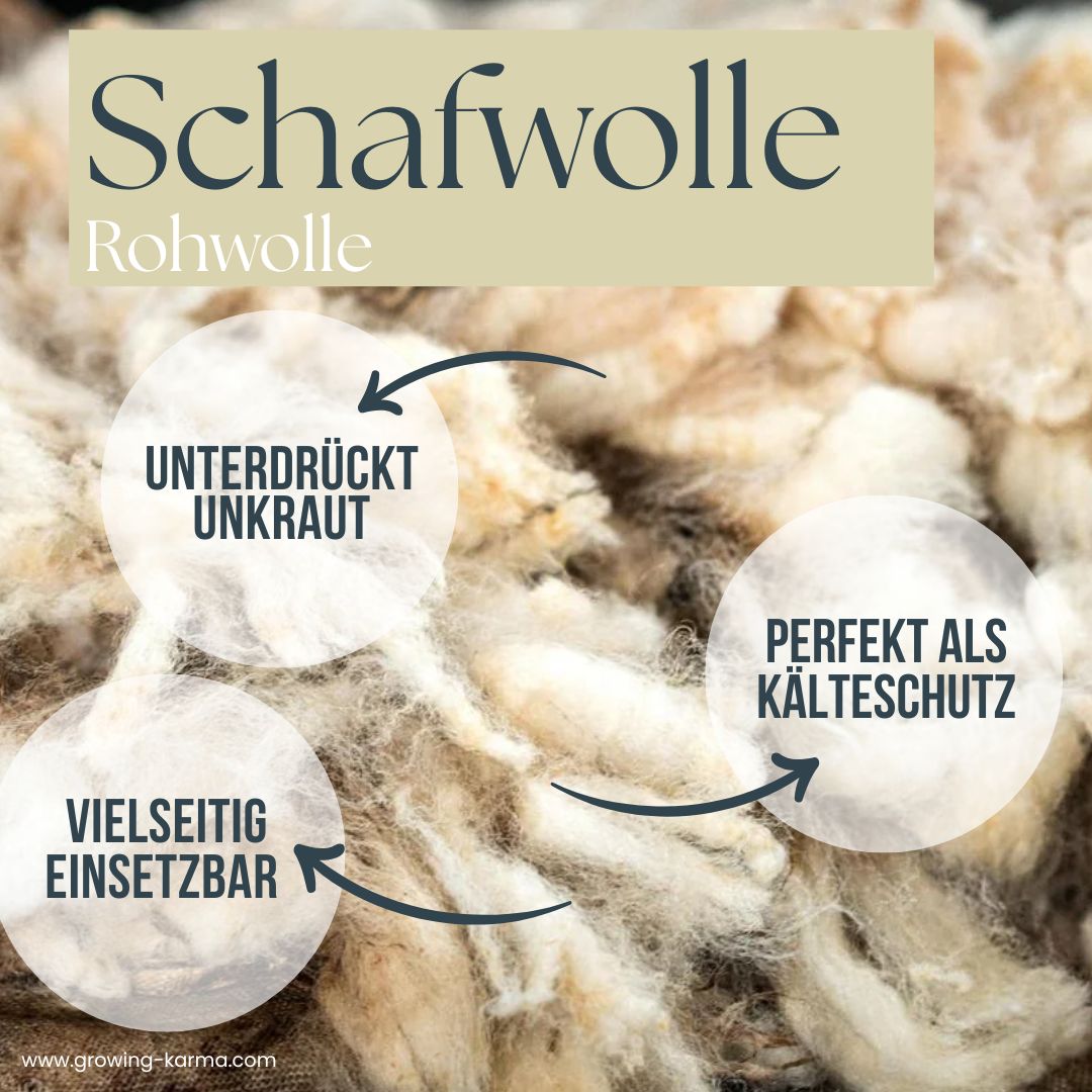 Schafwolle-fuer-deinen-Garten