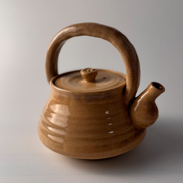Japanese teapot Kyusu Dobin