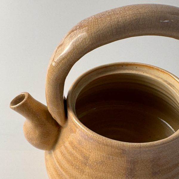 Japanese teapot Kyusu Dobin