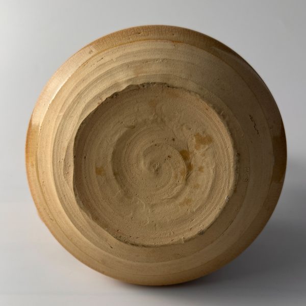 Japanese teapot Kyusu Dobin