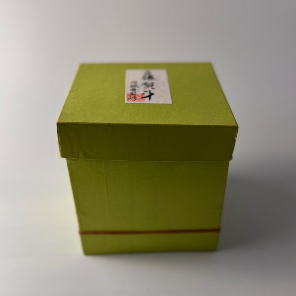 Japanese teapot Kyusu Dobin