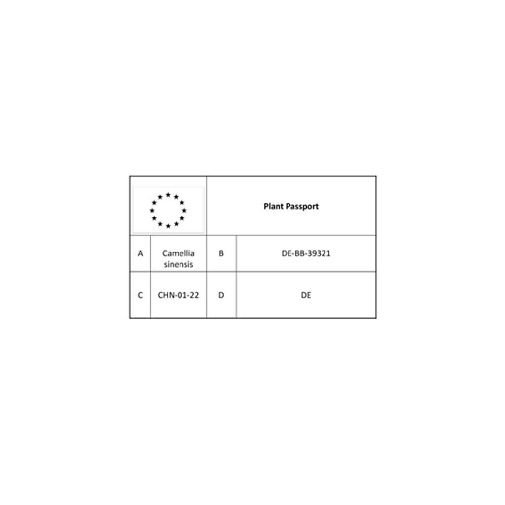 Pflanzenpass Camellia sinensis