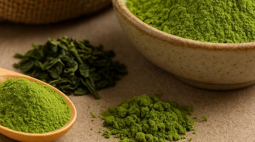 Matcha Shortage