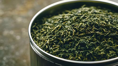 Sencha Tee 