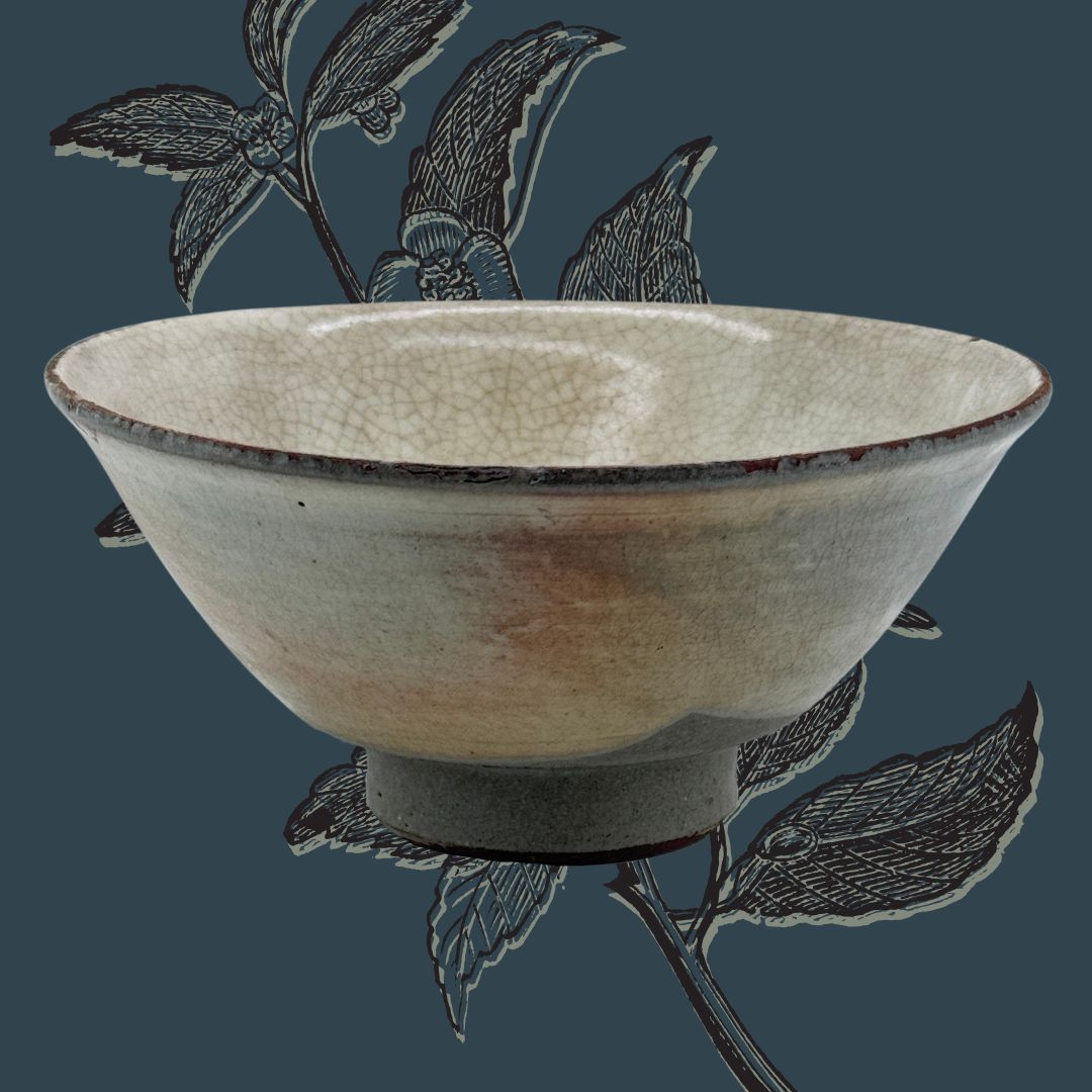 Japanische Kohiki Matcha-Schale – Asahi-gata Chawan aus Mino