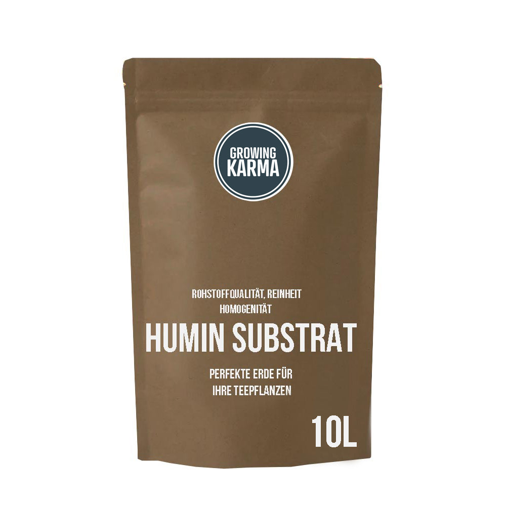 Pflanzerde für Camellia sinensis 