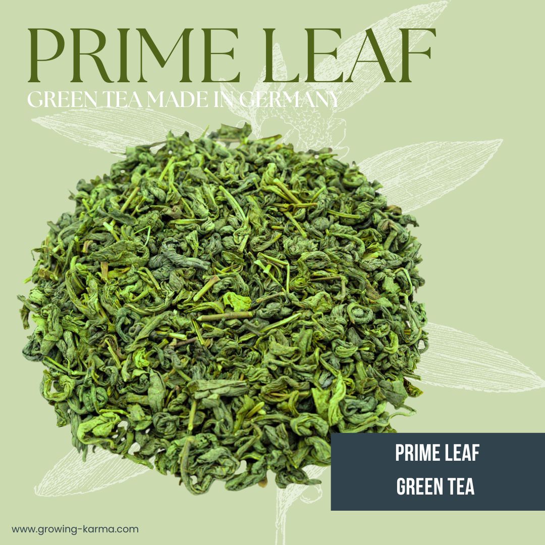 Growing Karma Prime Leaf Green Tea