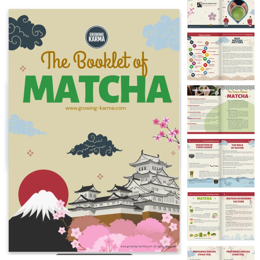 Reserve Your Backers Special for Just $1 – Fully Refundable today!