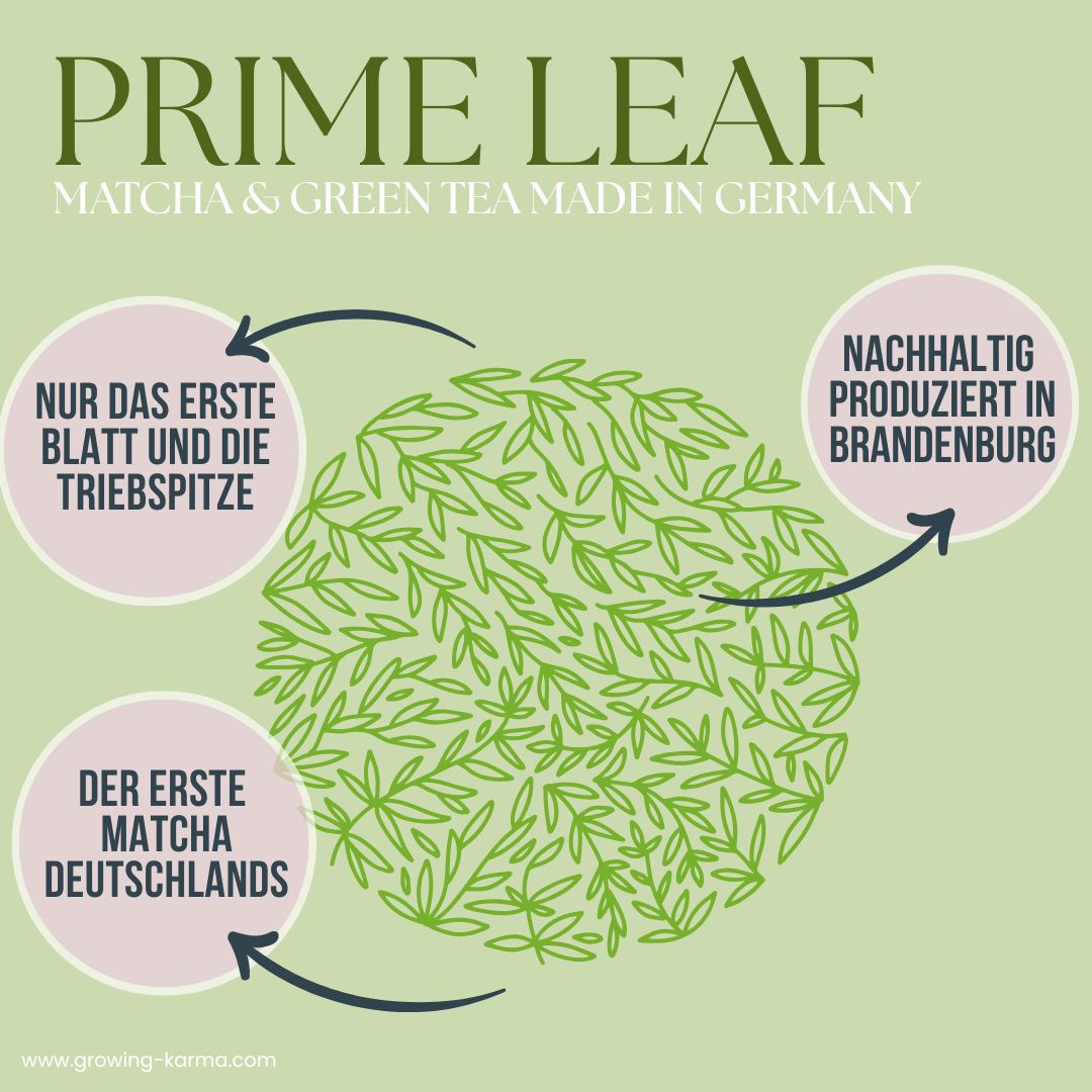 Prime Leaf Matcha & Green Tea Tasting Set 2 x 15g