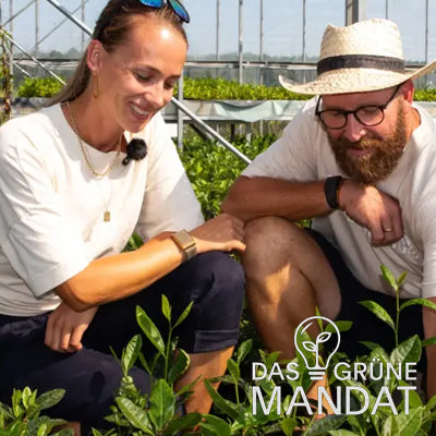 Growing Karma 2024 Grüne Mandat 